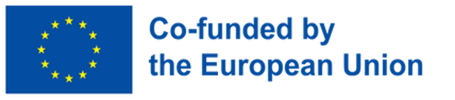 Co-finanziato dall'unione europea